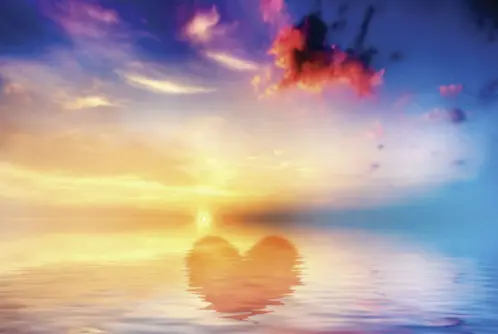 Pot do notranje sreče, članek,